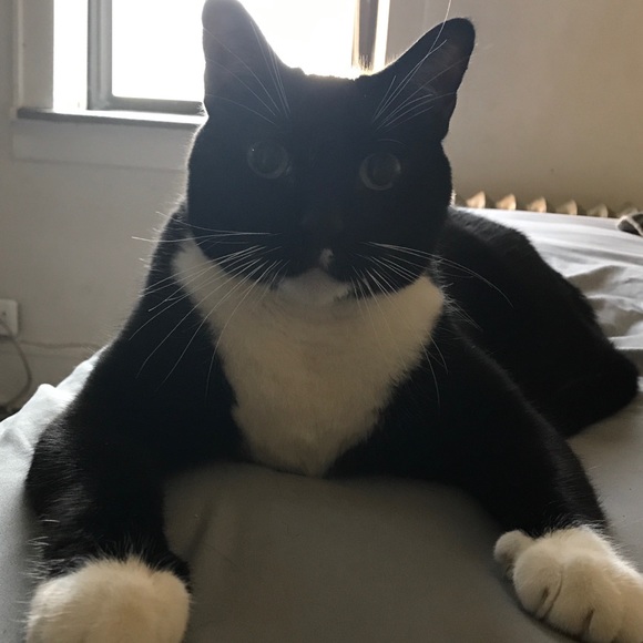 Meet your Posher - Picture 1 of 1